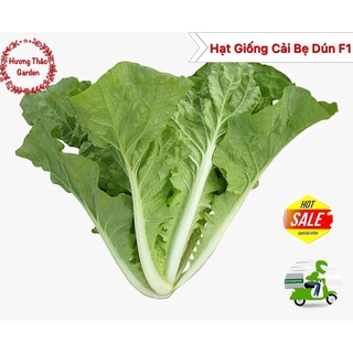 Hạt giống cải bẹ dún