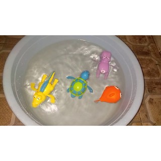 Combo 5 Thú bơi trong nước vặn dây cót cho bé