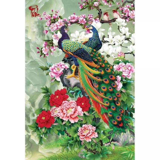 Tranh chim công hoa mẫu đơn và cành hoa đại trắng đính đá toàn bộ