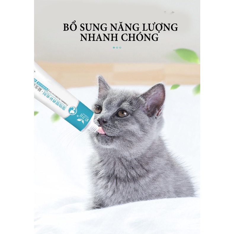 Gel hỗ trợ tiêu hóa Daoliqi cho chó mèo giúp ăn uống và hấp thụ dinh dưỡng hiệu quả hơn -tuýp 130G