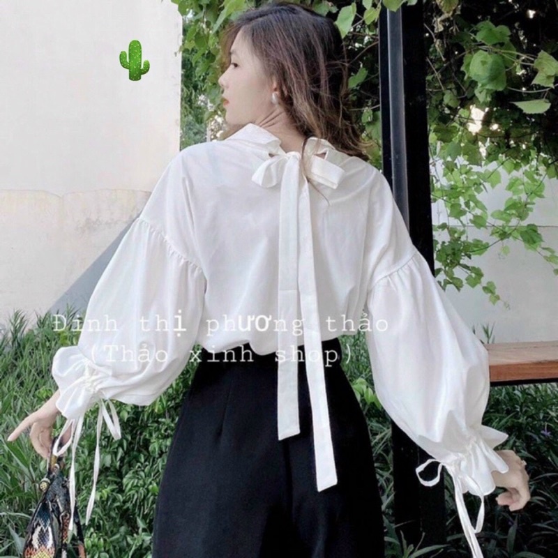 Áo sơ mi tiểu thư nơ sau tay dài phồng nơ chất kate - S5P