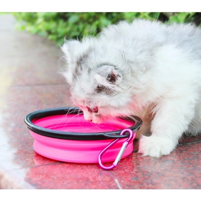 BÁT ĂN DU LỊCH TIỆN DỤNG DÀNH CHO CHÓ MÈO + KÈM MÓC GẮN