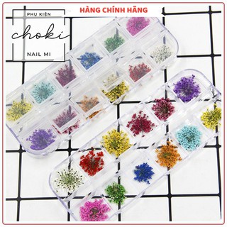  Khay 12 ô hoa khô nhí CHOKI NAIL MI trang trí móng cao cấp - KHKC