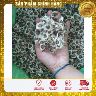 Hạt giống cây chùm ngây