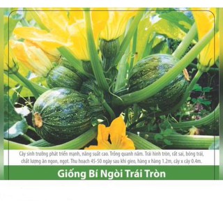 Hạt Giống Bí Ngòi Tròn Sai Trái 1gr