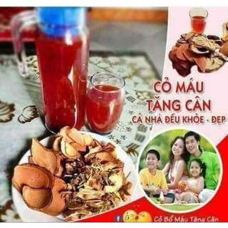 [GIÁ SỈ] 10 ẤM CỎ MÁU TĂNG CÂN 7 VỊ GIA TRUYỀN