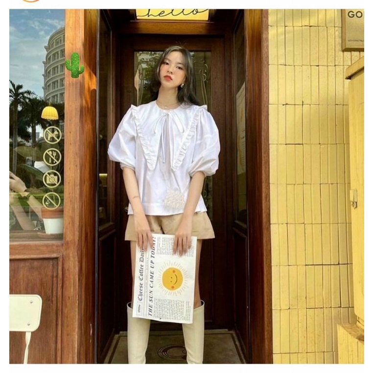 Áo sơmi cổ bèo lá lớn siêu xinh