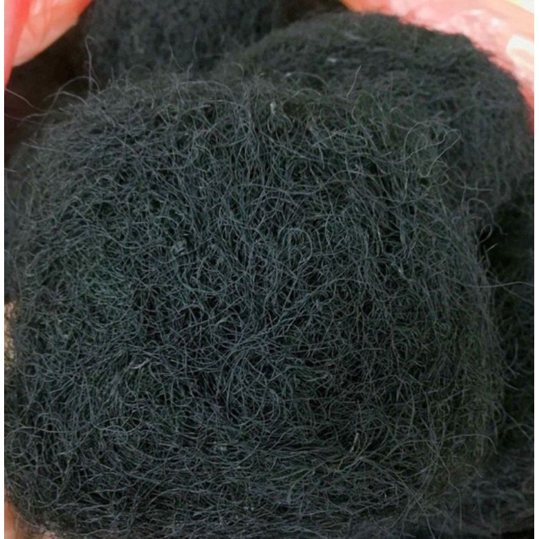 10G RONG TÓC TIÊN, RONG MÁI CHÈO.