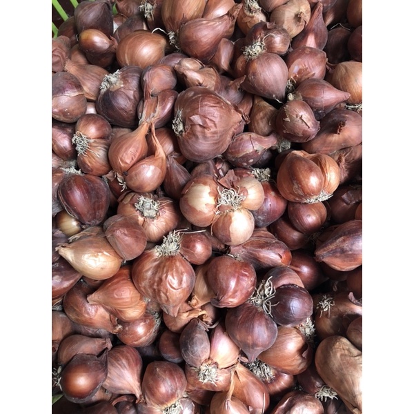 HÀNH BẮC 500G