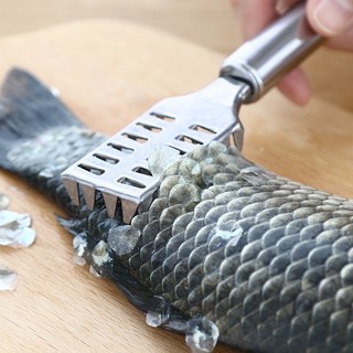 Đánh vảy cá - Đánh vẩy cá