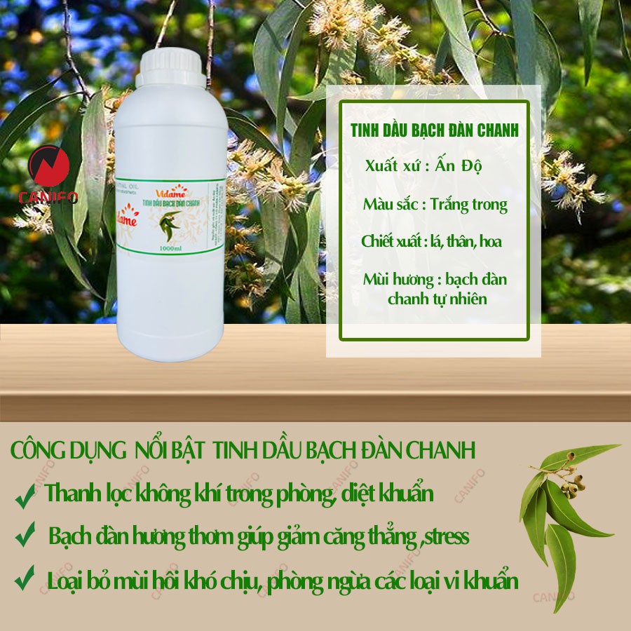 Tinh dầu bạch đàn chanh nguyên chất 1 Lít CANIFO - Organic, tinh dầu đuổi muỗi, xông thơm phòng, khử mùi hiệu quả