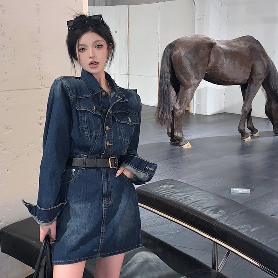 Đầm Denim Tay Dài Ôm Eo Cài Một Hàng Khuy Thời Trang Mùa Thu Phong Cách Hàn Quốc Cho Nữ