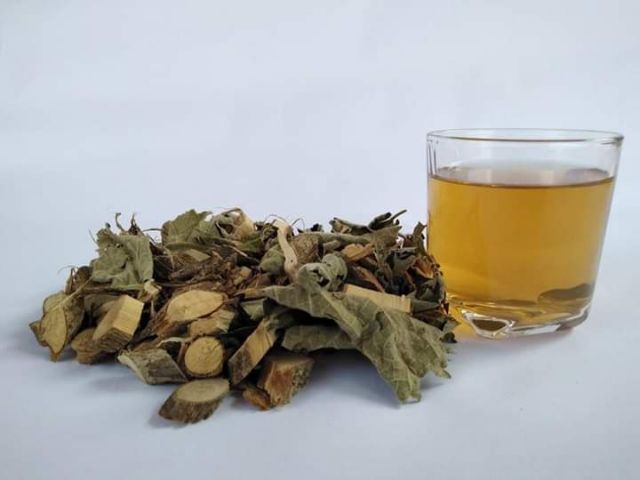 1kg cây an xoa khô Hoà Bình cả thân và lá🍃[FREESHIP] mát gan🍃 giải độc gan | BigBuy360 - bigbuy360.vn