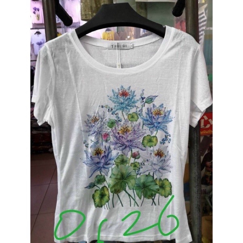 Áo Thun Giấy Nữ Hàng Quảng Châu 6 SIZE 40-85Kg SALE cực rẻ