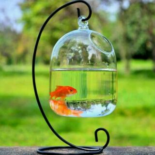 Bể Cá Treo Phong Thủy Bán Nguyệt