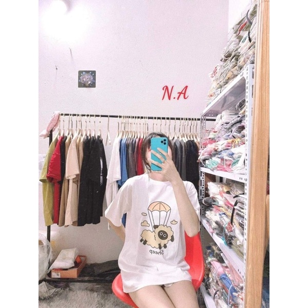 Áo phông cừu và gấu xanh CH11