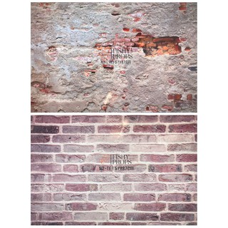 Phông nền chụp ảnh 2 mặt N2-TE