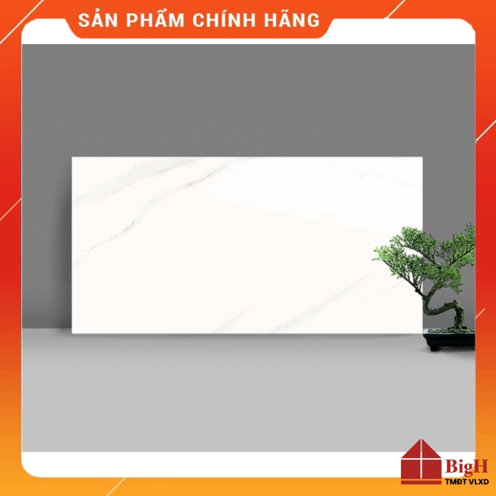 Gạch Catalan ốp tường 3618 30x60. xương gạch men (ceramic ) chống thấm ngược- Vật liệu xây dựng BigH