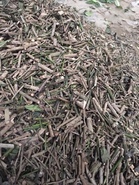 Xạ đen Hòa Bình 1kg