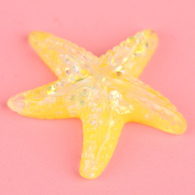 Bộ 5 Vỏ Sò / Sao Biển / Vỏ Sò Bằng Nhựa Resin Nhiều Màu Dùng Làm Đồ Thủ Công