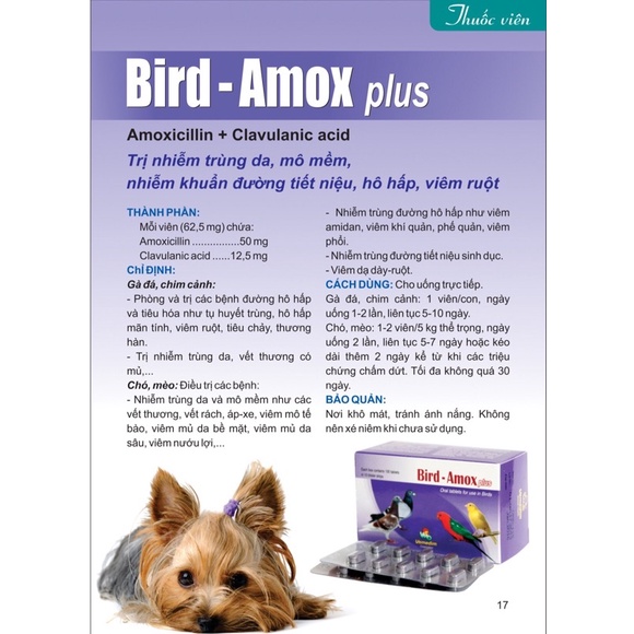 10 Viên Vemedim Bird Amox - Sử Dụng Cho Chó Mèo Chim Gà Vịt