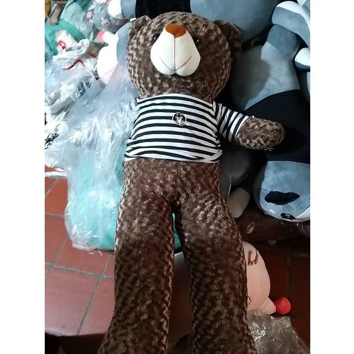 ❤️Sale Khủng❤️ Gấu bông teddy khổ vải 1m4 cao 1m2