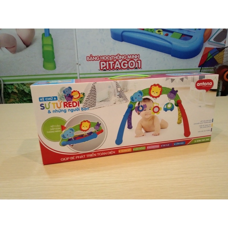 Kệ chữ A Sư Tử REDI có nhạc cho bé - Gấp gọn tiện lợi AcuteBaby