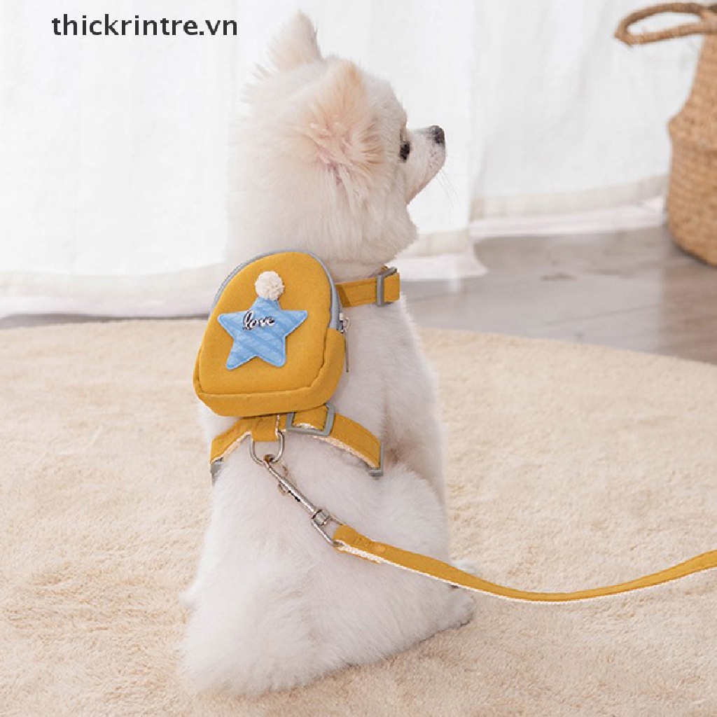 Bộ Dây Dắt Thú Cưng Đi Dạo Kèm Dây Dắt Tiện Dụng