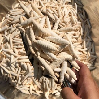 BÁNH MEN SỮA DỪA CON ĐUÔN BẾN TRE.