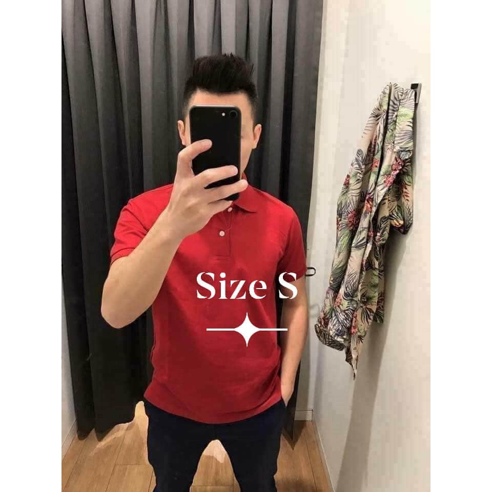 Áo Polo Uniqlo Auth cho nam | BigBuy360 - bigbuy360.vn