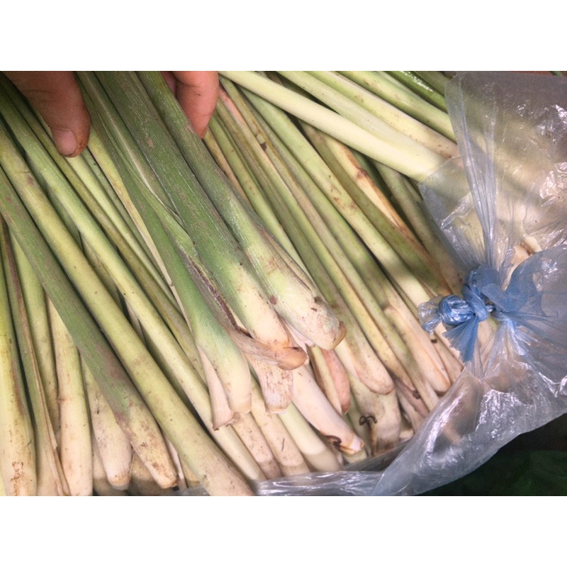 1Kg Sả Cây Tươi Nhà Trồng Củ To Ngon