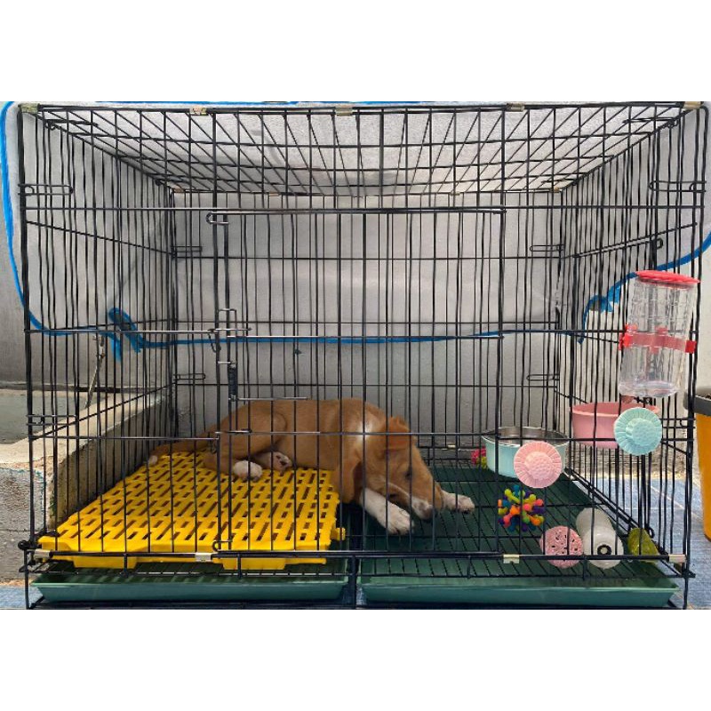 Chuồng Sắt Tĩnh Điện Size 58x86 cao 67 Chó Dưới 25Kg - Chuồng Sắt Xếp Gọn Kèm Mâm Hứng