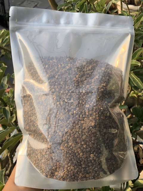 500g hạt ba khía -thức ăn: Hamster, sóc, vẹt.