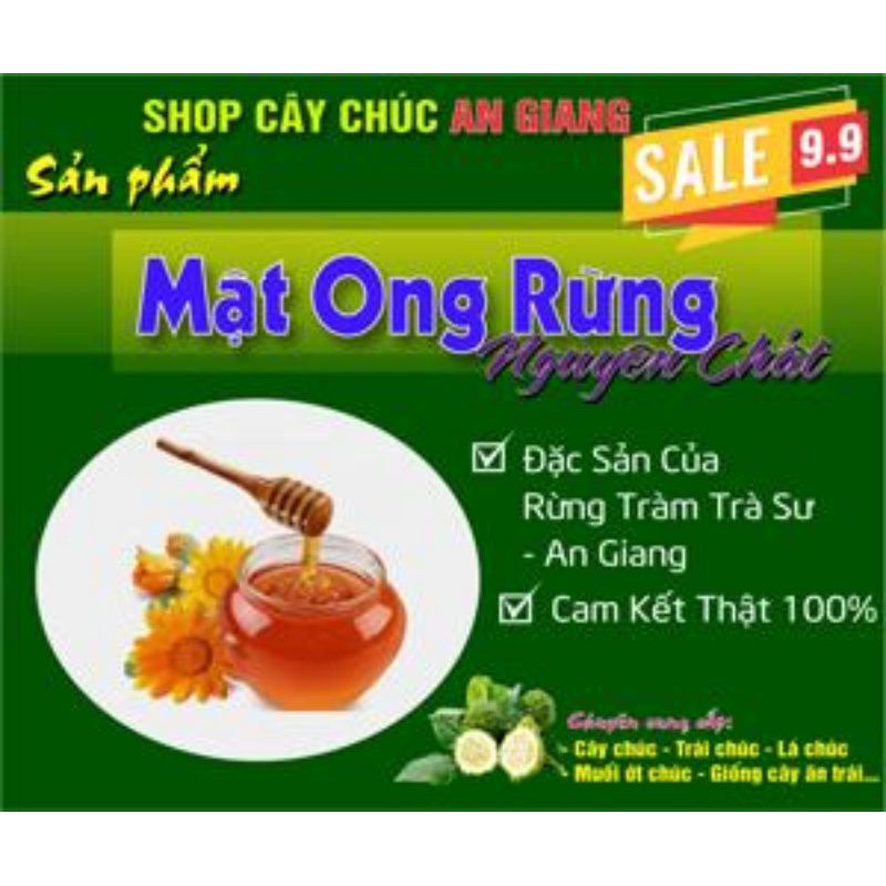 Mật ong hoa rừng tràm, nguyên chất, giá 350k một lít