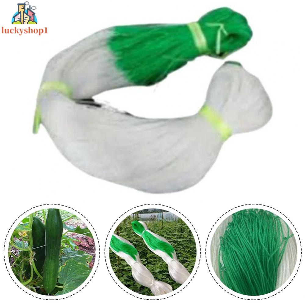 Lưới Trồng Cây Dây Leo Chống Ăn Mòn Chống Lão Hóa Siêu Bền Dễ Lắp Đặt