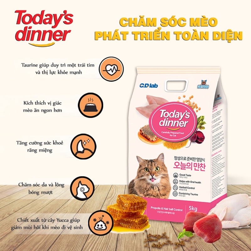 Hạt thức ăn Today's Dinner cho mèo mọi lứa tuổi túi nguyên 1kg