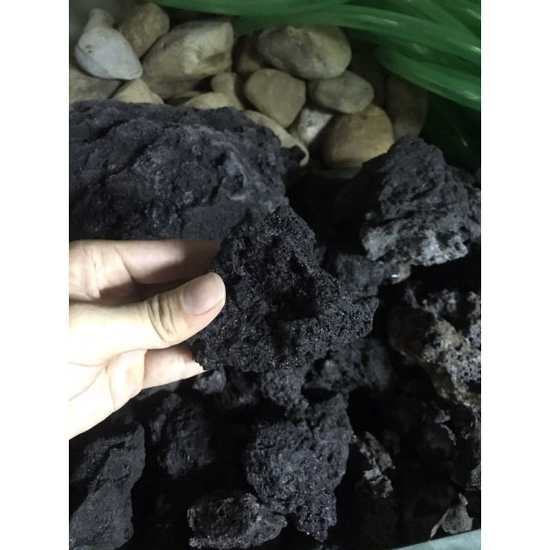 Đá Đen Gia Lai hàng tuyển setup bể thuỷ sinh