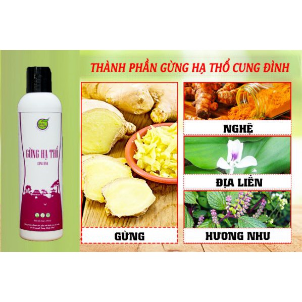 [GIÁ SỐC] Bộ Giảm Eo Thảo Dược Cung Đình (2 muối bụng + 1 gen bụng + 1 gừng eo Tặng 1 túi đựng muối chườm