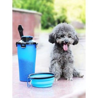 COMBO BÌNH 2in1 ĐỰNG NƯỚC VÀ HẠT DI ĐỘNG + CHÉN XẾP CHO CHÓ MÈO