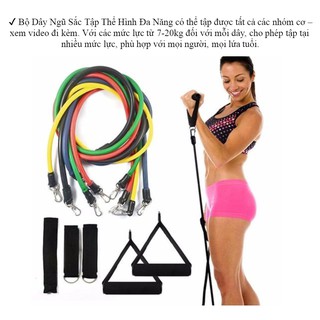 Thiết bị hỗ trợ tập gym - yoga tại nhà - Dây ngũ sắc đàn hồi 5 sợi có các mức nặng nhẹ khác nhau, nhỏ gọn, dễ sử dụng
