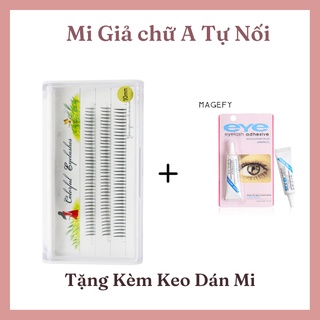 Mi Giả Dáng Chữ A Sợi Dùng Tự Nối Mi Kèm Keo