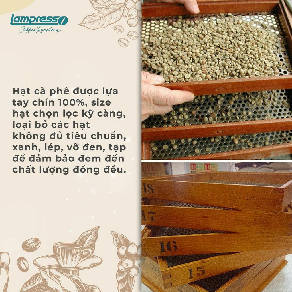 Cà phê Robusta Bảo Lộc túi 500gr đậm đà, đắng dịu - Lampresso Coffee