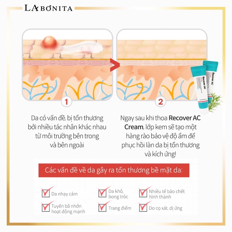 Kem giảm mụn dưỡng da phục hồi – LA BONITA Recover AC Cream 50ml