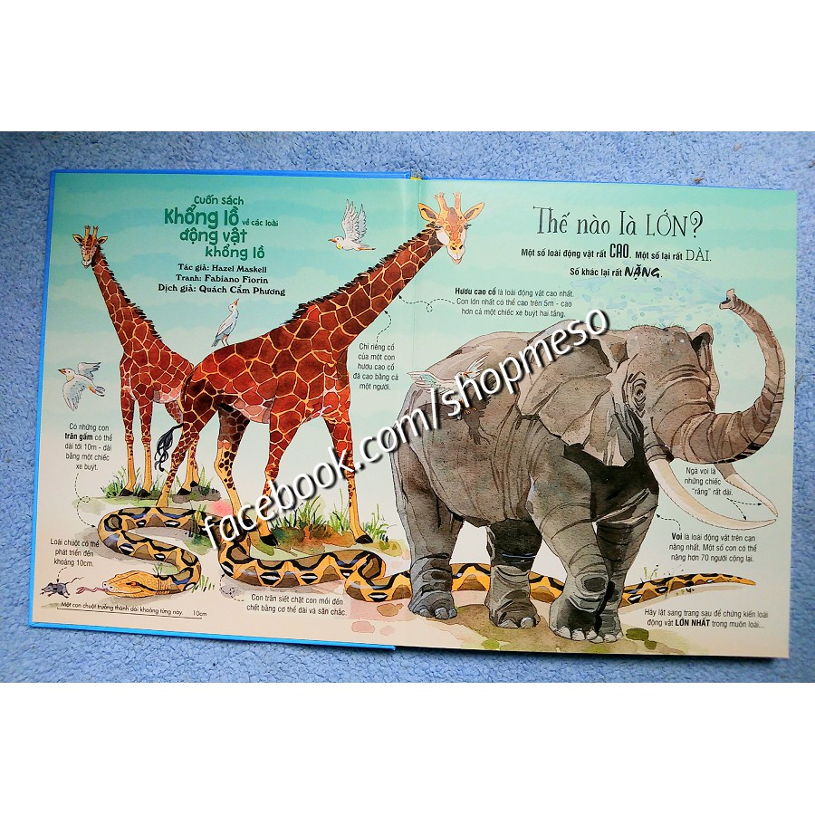 Sách - Big Book Of Big Animals - Cuốn Sách Khổng Lồ Về Các Loài Động Vật Khổng Lồ