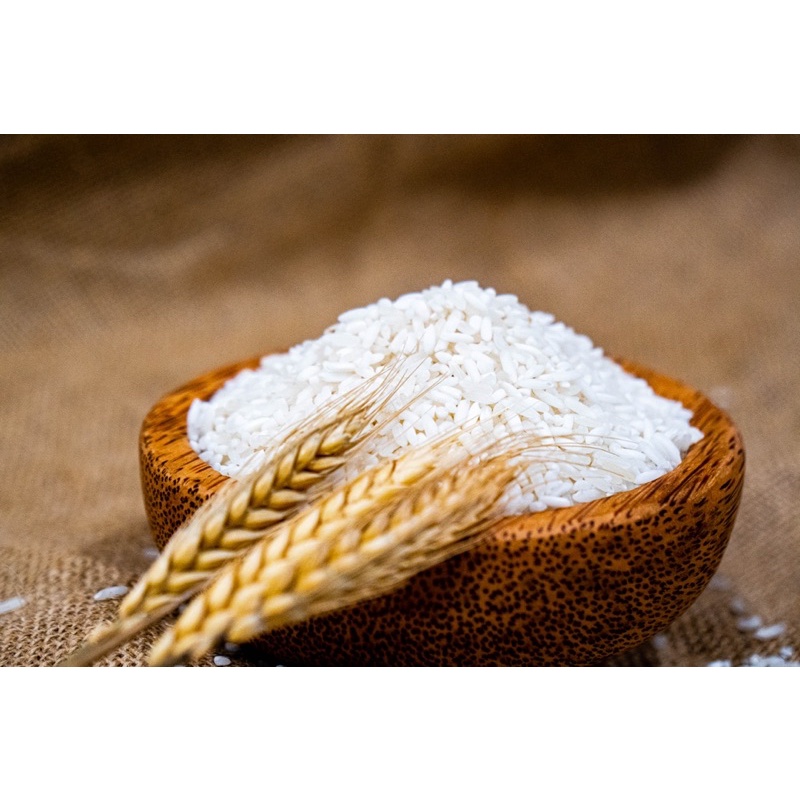 Gạo Séng Cù Mường Khương trắng túi 5Kg - Gạo cực dẻo và ngon, thơm tự nhiên - Giá Sỉ, Date mới