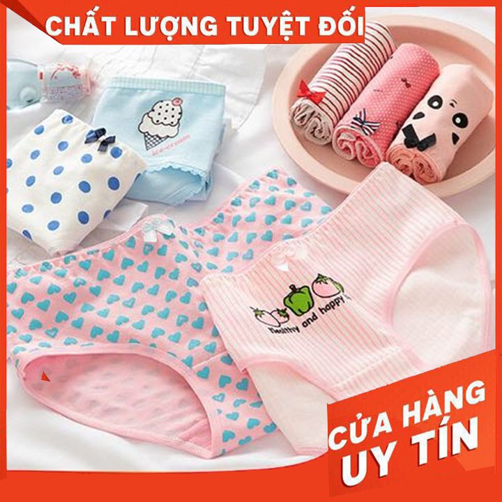 [ SIZE 38 đến 48KG] Quần Chip Cotton Dễ Thương Cute - Cotton Co Dãn Thoải Mái - Dễ Dàng Giặt - Không Phai Màu - Không Xù