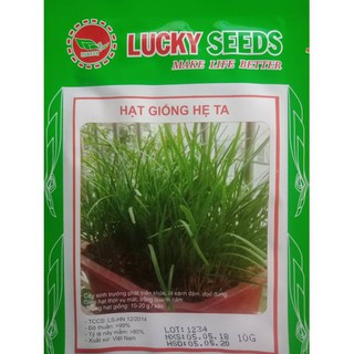 Hạt Giống Hẹ Ta Gia Vị (10gr)