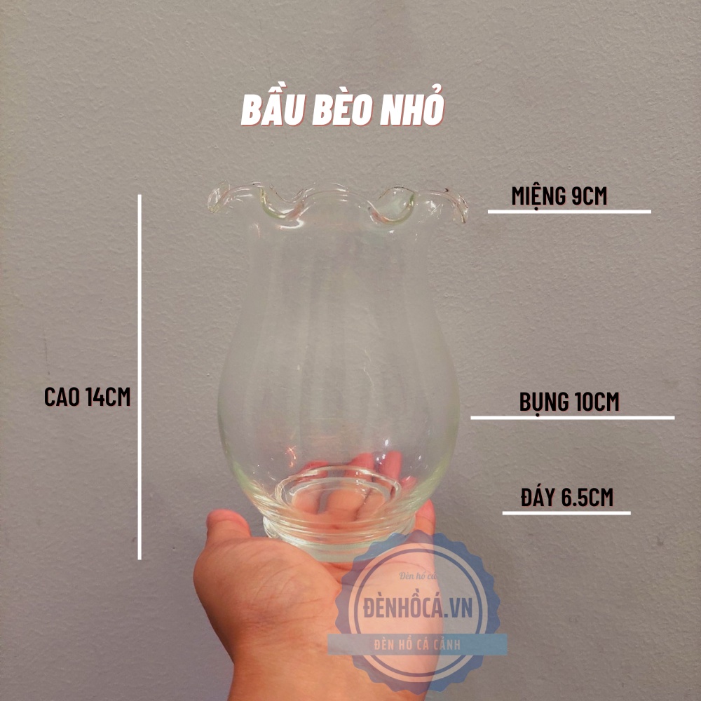 Chậu thủy tinh mini , chậu hoa thủy tinh , chậu thủy tinh mini tai bèo