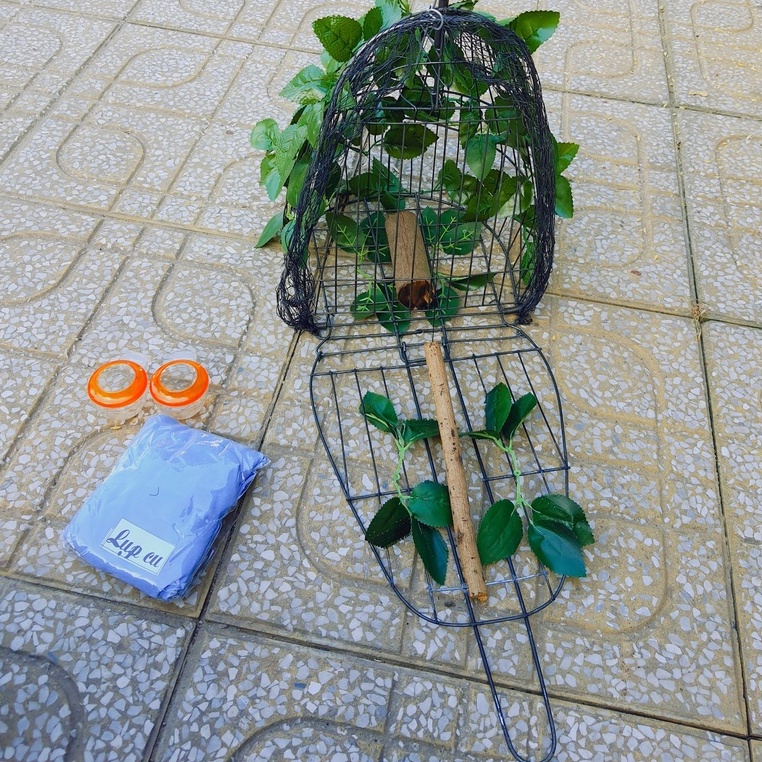Lụp Bẫy Chim Cu Gáy Rẻ Nhất Thị Trường