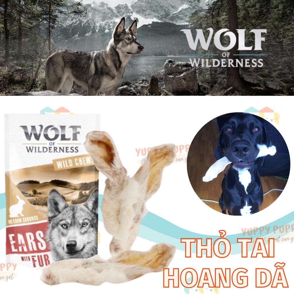 Dokas Wolf of Wildernes Treat từ Tai & Da THỎ Snack thịt sấy cung cấp canxi thiên nhiên cho chó con & trưởng thành